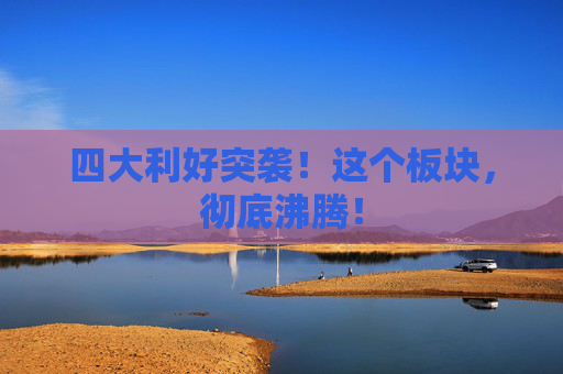 四大利好突袭！这个板块，彻底沸腾！