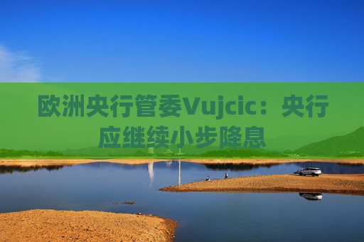 欧洲央行管委Vujcic：央行应继续小步降息
