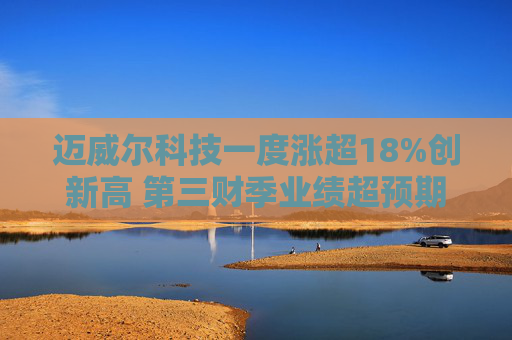 迈威尔科技一度涨超18%创新高 第三财季业绩超预期
