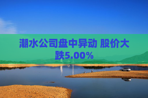 潮水公司盘中异动 股价大跌5.00%