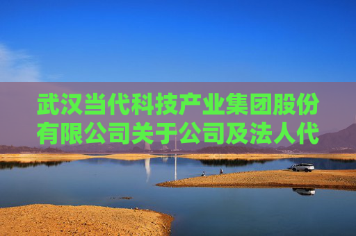 武汉当代科技产业集团股份有限公司关于公司及法人代表被限制消费的公告