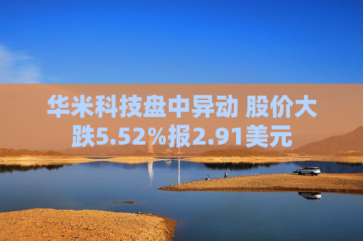 华米科技盘中异动 股价大跌5.52%报2.91美元