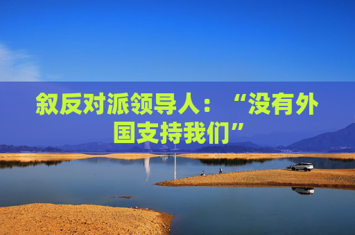 叙反对派领导人：“没有外国支持我们”