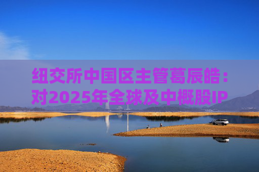 纽交所中国区主管葛辰皓：对2025年全球及中概股IPO市场都有信心