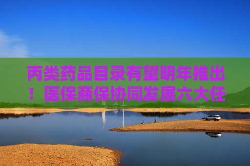 丙类药品目录有望明年推出！医保商保协同发展六大任务明确