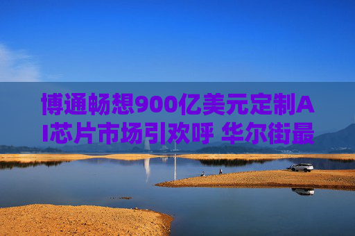 博通畅想900亿美元定制AI芯片市场引欢呼 华尔街最高看涨至250美元