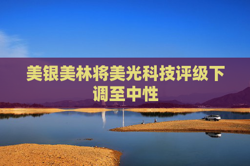美银美林将美光科技评级下调至中性