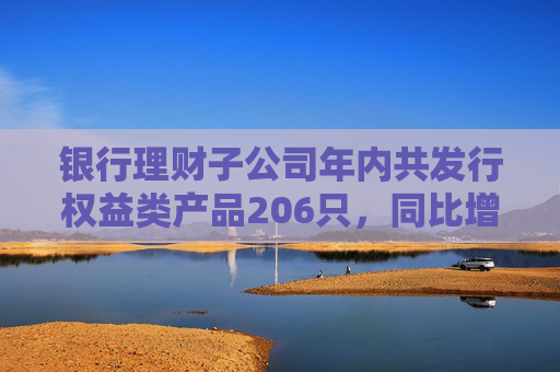 银行理财子公司年内共发行权益类产品206只，同比增长82.3%