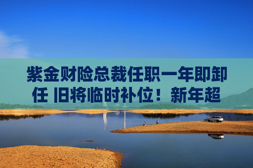 紫金财险总裁任职一年即卸任 旧将临时补位！新年超越市场如何实现？