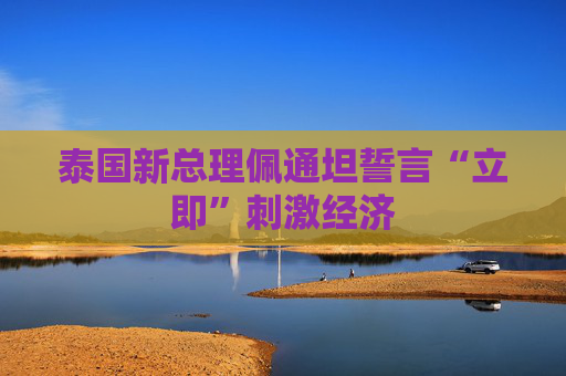 泰国新总理佩通坦誓言“立即”刺激经济