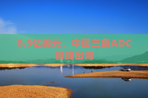 8.5亿美元，中国三条ADC管线出海