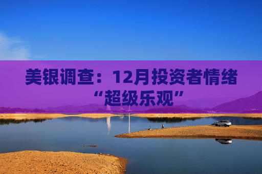美银调查：12月投资者情绪“超级乐观”