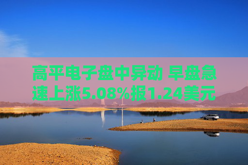 高平电子盘中异动 早盘急速上涨5.08%报1.24美元