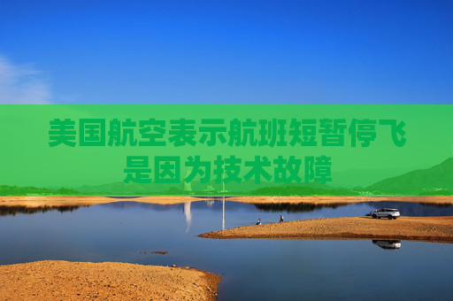 美国航空表示航班短暂停飞是因为技术故障