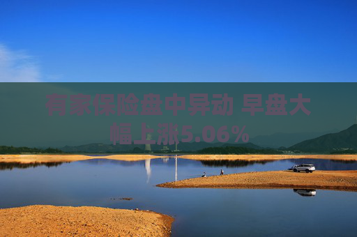 有家保险盘中异动 早盘大幅上涨5.06%