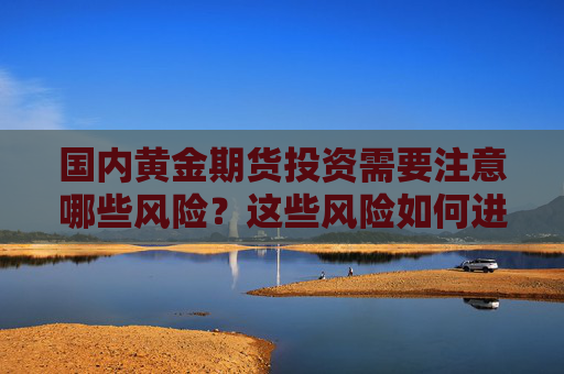 国内黄金期货投资需要注意哪些风险？这些风险如何进行有效管理？