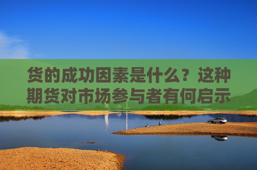 货的成功因素是什么？这种期货对市场参与者有何启示？