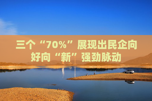 三个“70%”展现出民企向好向“新”强劲脉动