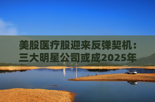 美股医疗股迎来反弹契机：三大明星公司或成2025年投资亮点