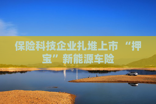 保险科技企业扎堆上市 “押宝”新能源车险