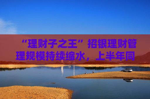 “理财子之王”招银理财管理规模持续缩水，上半年同比少赚2.13亿元