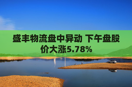 盛丰物流盘中异动 下午盘股价大涨5.78%