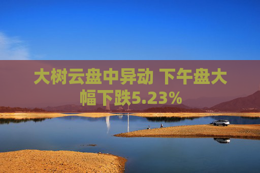 大树云盘中异动 下午盘大幅下跌5.23%