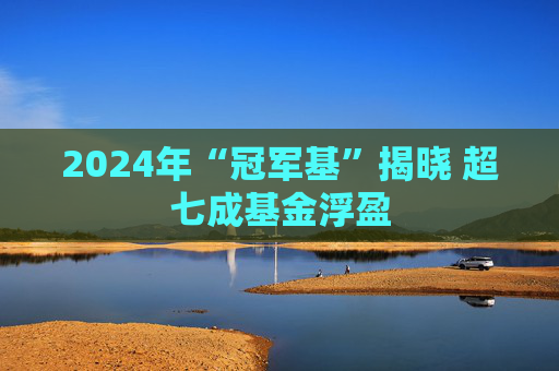 2024年“冠军基”揭晓 超七成基金浮盈