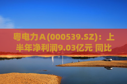 粤电力Ａ(000539.SZ)：上半年净利润9.03亿元 同比增长5.42%