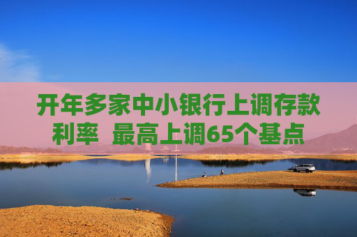 开年多家中小银行上调存款利率  最高上调65个基点