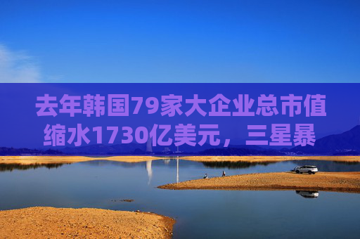 去年韩国79家大企业总市值缩水1730亿美元，三星暴跌近四分之一