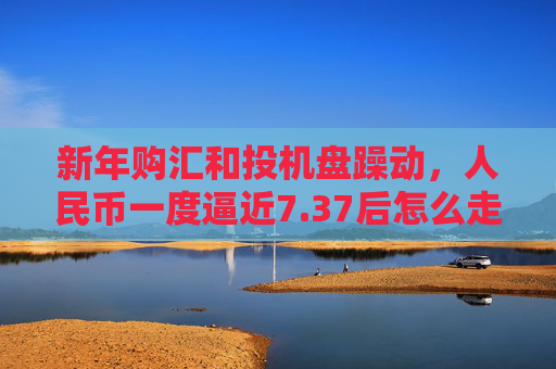 新年购汇和投机盘躁动，人民币一度逼近7.37后怎么走？