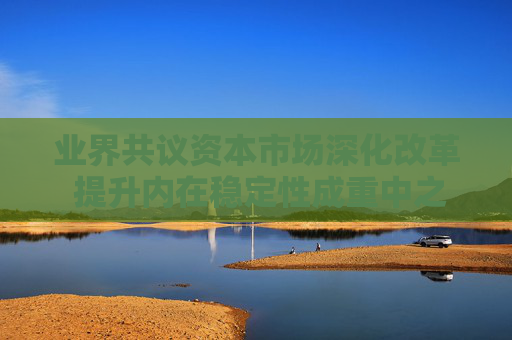 业界共议资本市场深化改革 提升内在稳定性成重中之重