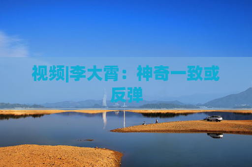 视频|李大霄：神奇一致或反弹