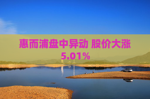 惠而浦盘中异动 股价大涨5.01%