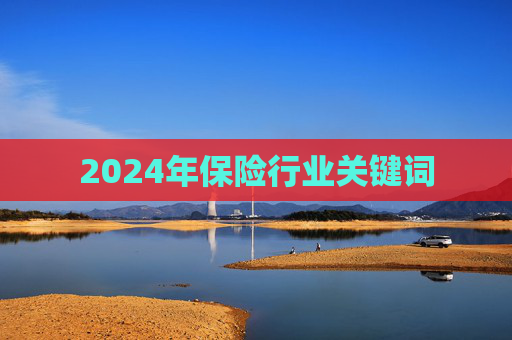 2024年保险行业关键词