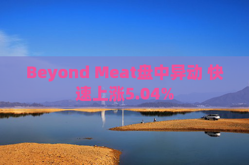 Beyond Meat盘中异动 快速上涨5.04%