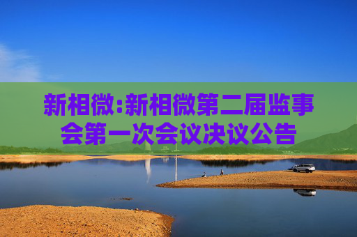 新相微:新相微第二届监事会第一次会议决议公告