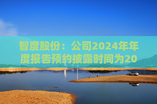 智度股份：公司2024年年度报告预约披露时间为2025年4月28日