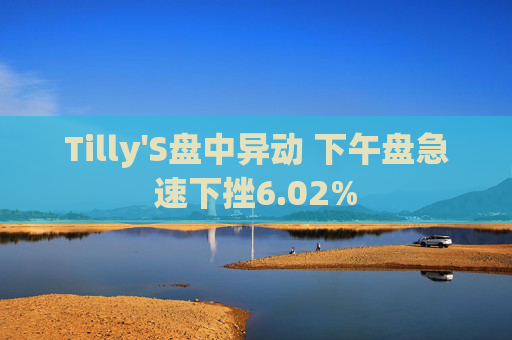 Tilly'S盘中异动 下午盘急速下挫6.02%