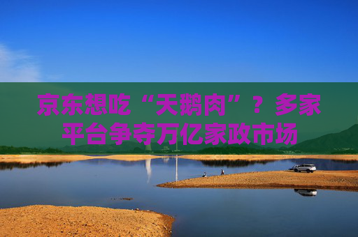 京东想吃“天鹅肉”？多家平台争夺万亿家政市场