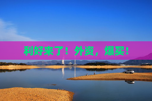 利好来了！外资，爆买！