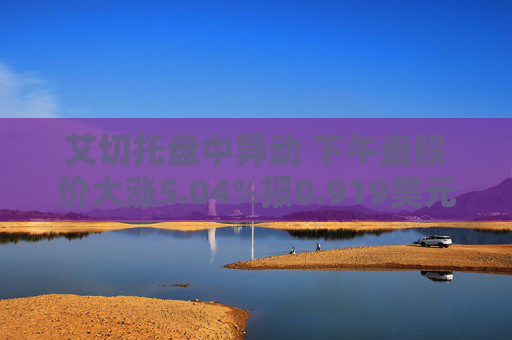艾切托盘中异动 下午盘股价大涨5.04%报0.919美元