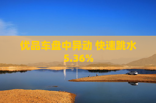 优品车盘中异动 快速跳水5.36%