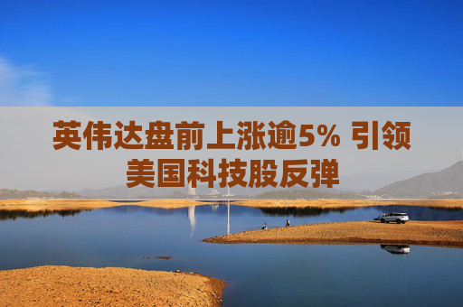 英伟达盘前上涨逾5% 引领美国科技股反弹
