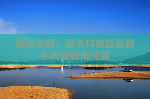 摩根大通：最大科技股暴跌不构成信用问题