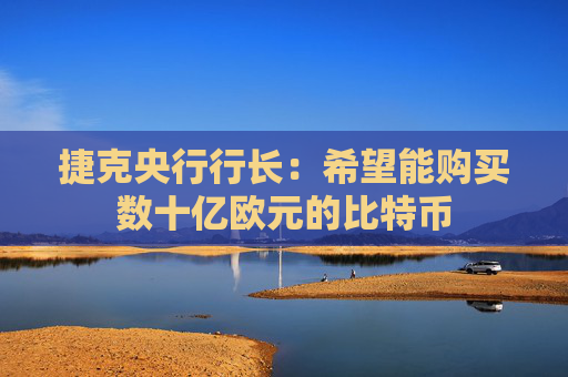 捷克央行行长：希望能购买数十亿欧元的比特币