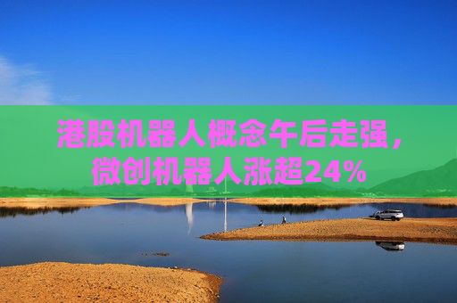 港股机器人概念午后走强，微创机器人涨超24%