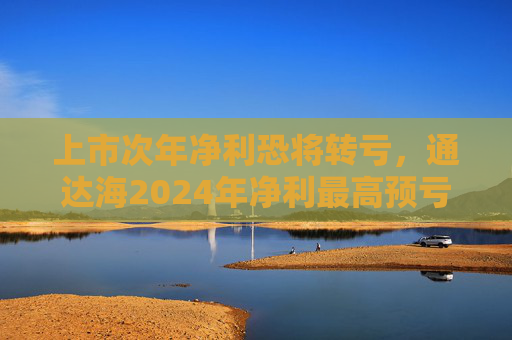 上市次年净利恐将转亏，通达海2024年净利最高预亏6500万元