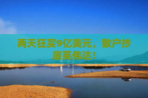 两天狂买9亿美元，散户抄底英伟达！